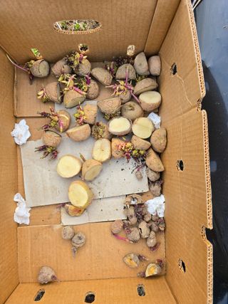 정광일님의 자유주제 · 자유게시판 작성글 사진