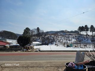 정선 숲속의농부님의 자유주제 · 자유게시판 작성글 사진