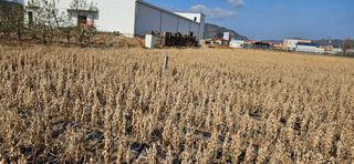 (이랑농장)김재한님의 작성글 사진