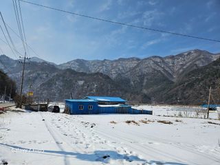 정선 숲속의농부님의 자유주제 · 자유게시판 작성글 사진