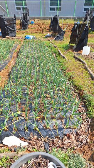 김하동 님의 자유주제 · 사진전 작성글 사진