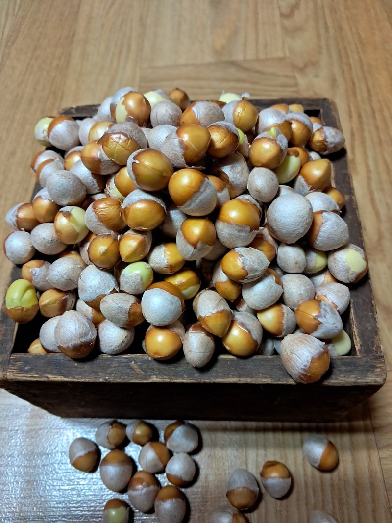 장터 상품 [깐 은행 1kg] 썸네일