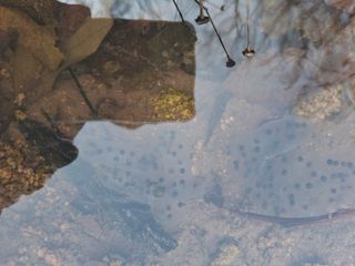 신현덕님의 자유주제 · 자유게시판 작성글 사진