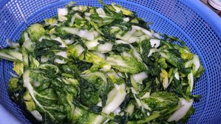 김지철님의 자유주제 · 자유게시판 작성글 사진