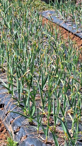 김하동 님의 자유주제 · 사진전 작성글 사진