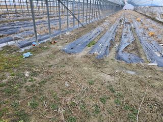 정홍준님의 자유주제 · 자유게시판 작성글 사진