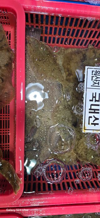 이종록님의 자유주제 · 자유게시판 작성글 사진