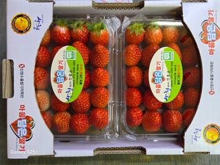 안성화님의 자유주제 · 자유게시판 작성글 사진