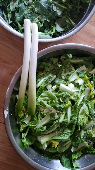 김지철님의 자유주제 · 자유게시판 작성글 사진