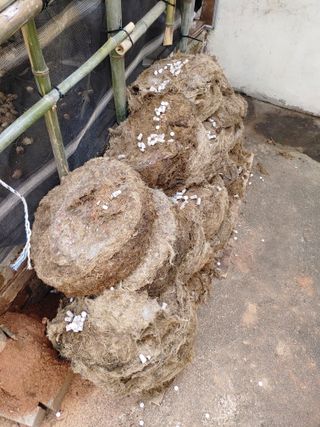 이현상님의 자유주제 · 자유게시판 작성글 사진