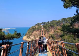 마평 농원님의 자유주제 · 자유게시판 작성글 사진