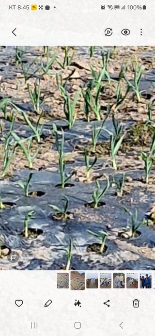 낙엽교목류21691님의 자유주제 · 자유게시판 작성글 사진