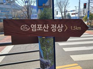 마평 농원님의 자유주제 · 자유게시판 작성글 사진