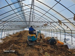 정선 숲속의농부님의 자유주제 · 자유게시판 작성글 사진