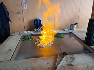 마평 농원님의 자유주제 · 자유게시판 작성글 사진