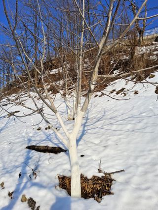 김용대님의 자유주제 · 자유게시판 작성글 사진