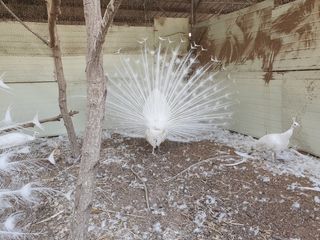 김영복님의 작성글 사진