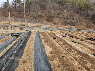 최연재님의 자유주제 · 자유게시판 작성글 사진