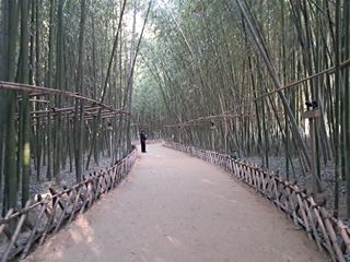 마평 농원님의 자유주제 · 자유게시판 작성글 사진