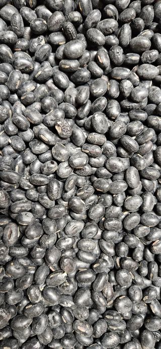 (이랑농장)김재한님의 작성글 사진