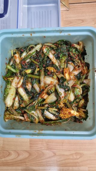 김지철님의 자유주제 · 자유게시판 작성글 사진