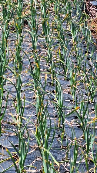 김하동 님의 자유주제 · 사진전 작성글 사진