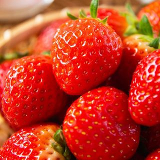 안성화님의 자유주제 · 자유게시판 작성글 사진