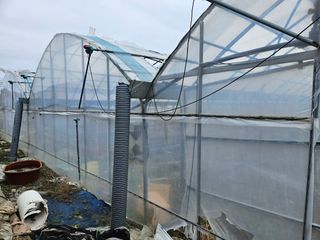 정홍준님의 자유주제 · 자유게시판 작성글 사진