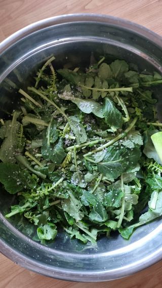 김지철님의 자유주제 · 자유게시판 작성글 사진