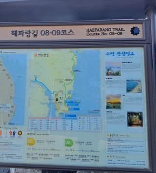 마평 농원님의 자유주제 · 자유게시판 작성글 사진