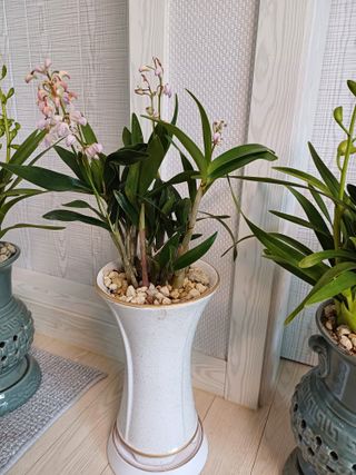 구마수 뻐어나갈 수님의 비료 보관 방법 공유해요 · 참여글 작성글 사진