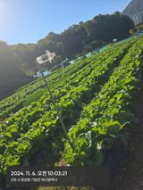 팜모닝 · 게시글 이미지