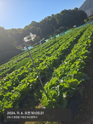 권오군님의 작성글 사진
