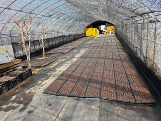 홍천산채농원님의 자유주제 · 자유게시판 작성글 사진