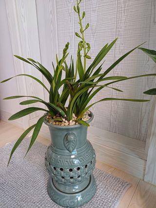 구마수 뻐어나갈 수님의 비료 보관 방법 공유해요 · 참여글 작성글 사진