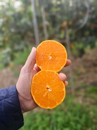 양애숙님의 작성글 사진