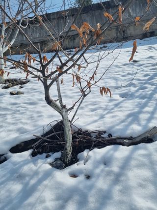 김용대님의 자유주제 · 자유게시판 작성글 사진