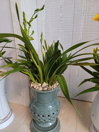 구마수 뻐어나갈 수님의 비료 보관 방법 공유해요 · 참여글 작성글 사진