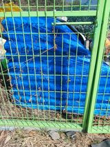 팜모닝 비료 보관 방법 공유해요·참여글 게시글 이미지