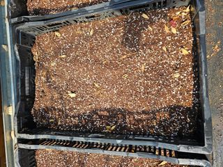 홍천산채농원님의 자유주제 · 자유게시판 작성글 사진