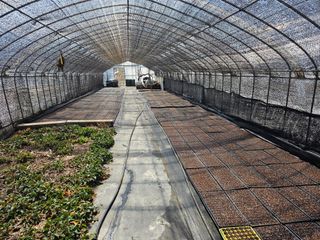 홍천산채농원님의 자유주제 · 자유게시판 작성글 사진