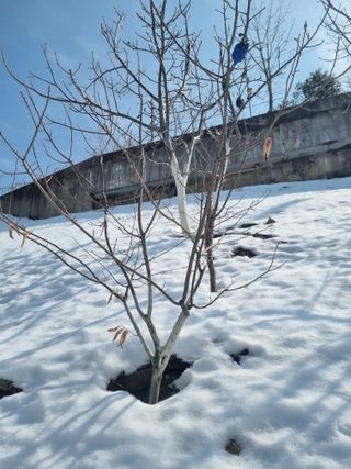 김용대님의 자유주제 · 자유게시판 작성글 사진