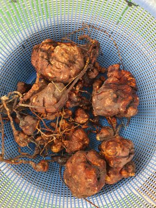 윤충규님의 자유주제 · 자유게시판 작성글 사진