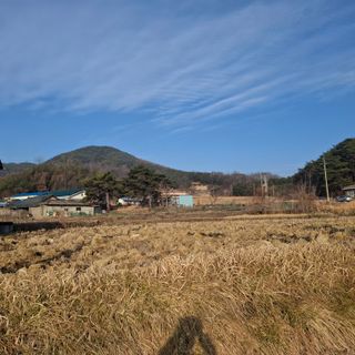 오영도님의 자유주제 · 자유게시판 작성글 사진