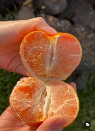 양애숙님의 작성글 사진