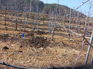 알 수 없음님의 자유주제 · 자유게시판 작성글 사진