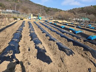 임영길님의 자유주제 · 자유게시판 작성글 사진