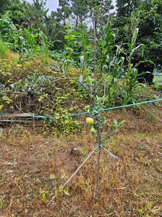 윤영식님의 자유주제 · 자유게시판 작성글 사진