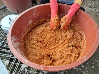 마평 농원님의 자유주제 · 자유게시판 작성글 사진