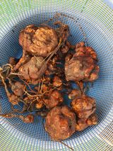 팜모닝 자유주제·자유게시판 게시글 이미지